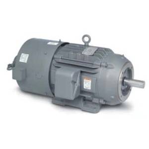 Inverter/Vector Duty Variable Speed AC Motors