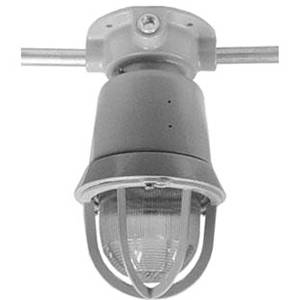 Crouse-Hinds EVICX2301 Explosionproof Factory Sealed Heat and Impact-Resistant Light Fixture With EV505 Guard,) Incandescent Lamp, 120 VAC, Epoxy Powder Coated Housing