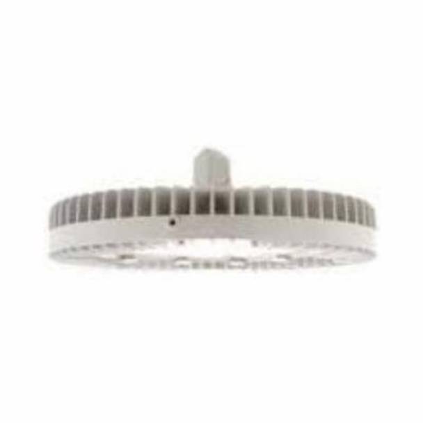 Dialight Vigilant® HELMC4PNSNG Standard High Bay Fixture,) LED Lamp, 110 to 277 VAC, Gray/Dual Coated Housing