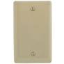 1-Gang, Hubbell Incorporated NP13I Wallplate, Nylon, Ivory, Blank (Planned Obsolescence by Manufacturer)