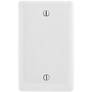 1-Gang, Hubbell Incorporated NP13W Wallplate, Nylon, White, Blank (Discontinued by Manufacturer)