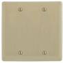 2-Gang, Hubbell Incorporated NP23I Wallplate, Nylon, Ivory, Blank (Planned Obsolescence by Manufacturer)