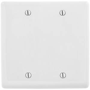 2-Gang, Hubbell Incorporated NP23W Wallplate, Nylon, White, Blank