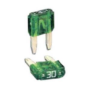 Mersen EP AF2-15 Automotive Fuse
