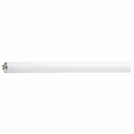 Fluorescent Lamps