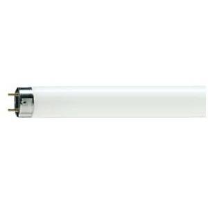 Fluorescent Lamps