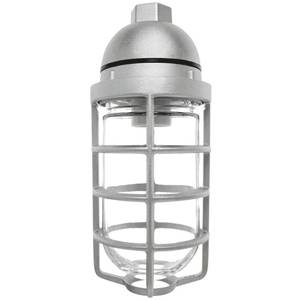 RAB Lighting Inc. VP100DG Incandescent Vaporproof Light Fixture ...