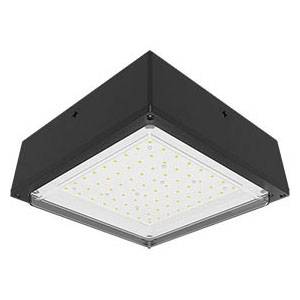 RAB Lighting Inc. VANLED52 Canopy Light Fixture