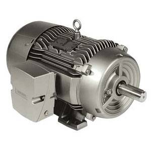Siemens 1LE22211CA113EA3 Low Voltage AC Motor