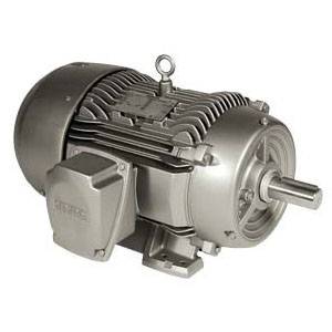 Siemens 1LE23111AB314AA3 NEMA Premium® Squirrel Cage Motor