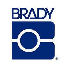 Brady Worldwide, Inc. 65376 Lockout Hasp