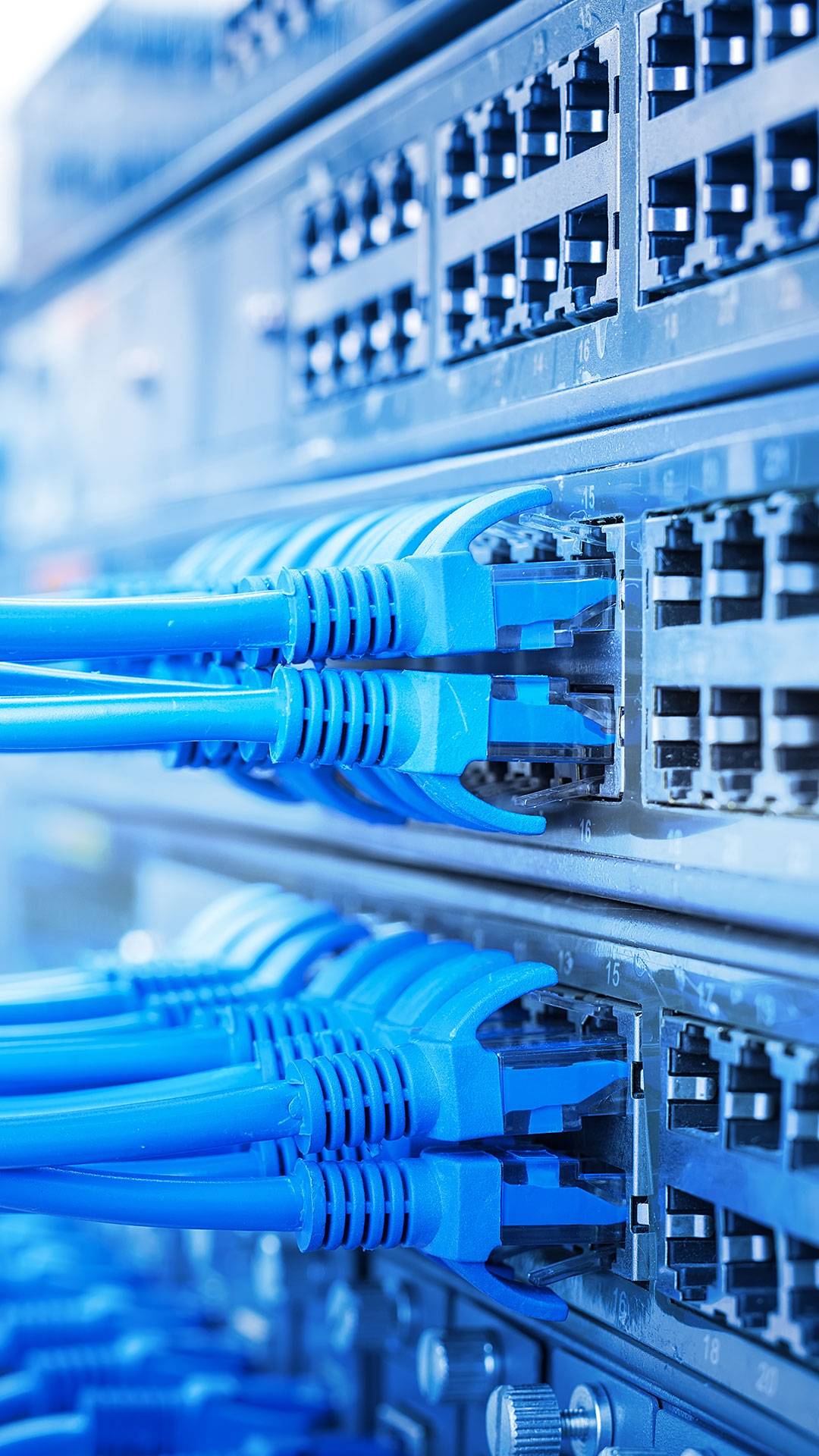 Network & Connectivity