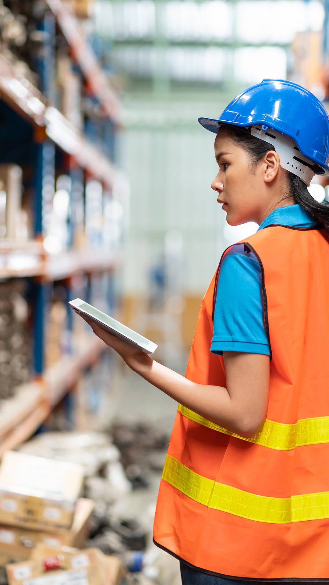 Light Audit and Assessments